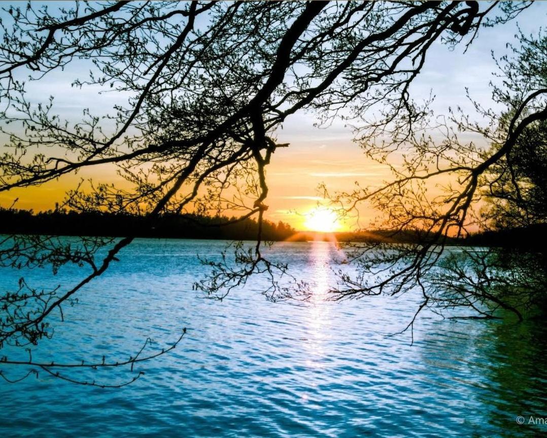 Close To The Metro And The Beach!!! With A View Of The Scandinavian Forest 스톡홀름 외부 사진