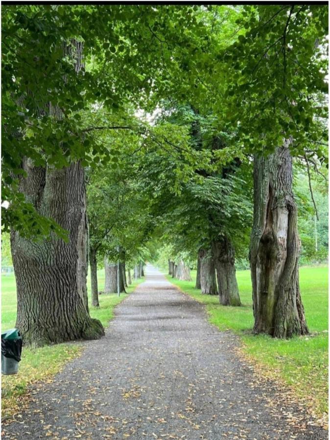 Close To The Metro And The Beach!!! With A View Of The Scandinavian Forest 스톡홀름 외부 사진